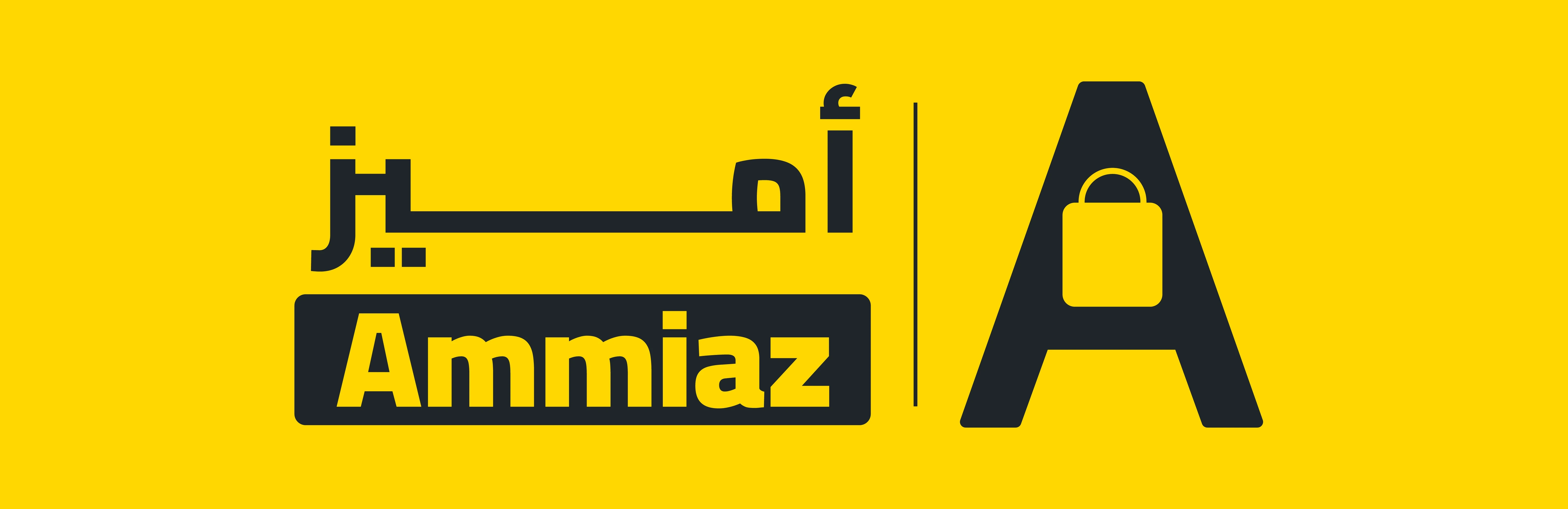 Company Name